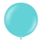 #2357 - Standard Aqua - 24 inch - w logo
